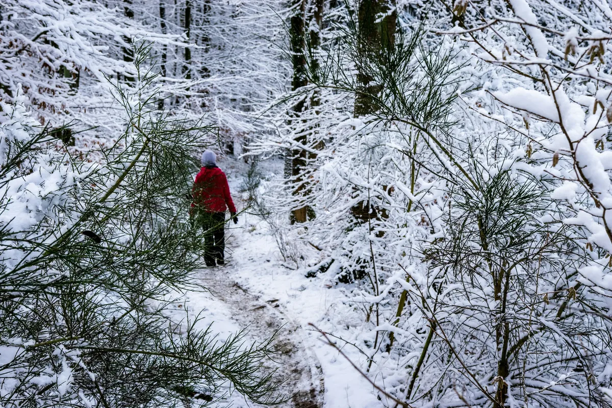 Best Winter Treks in India: Kedarkantha, Brahmatal and More