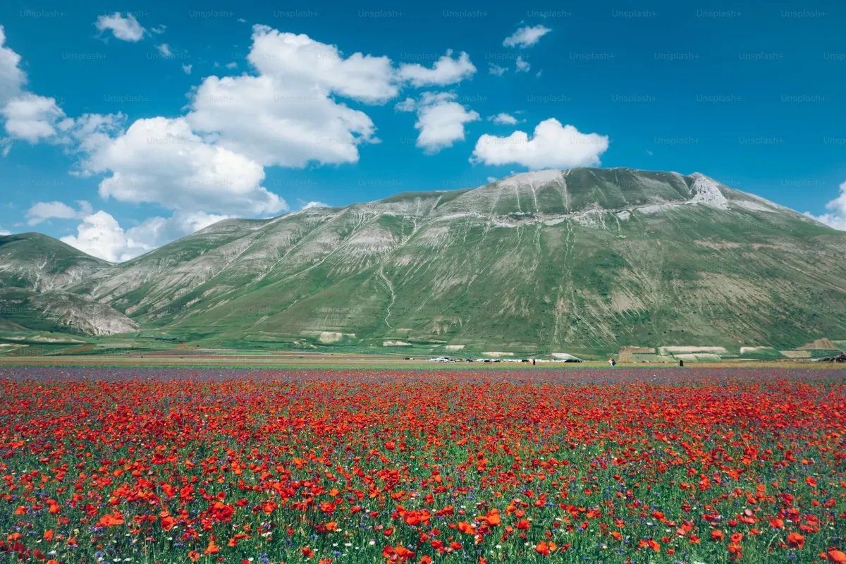 Almaty on a Budget: 5 Simple Ways to Save