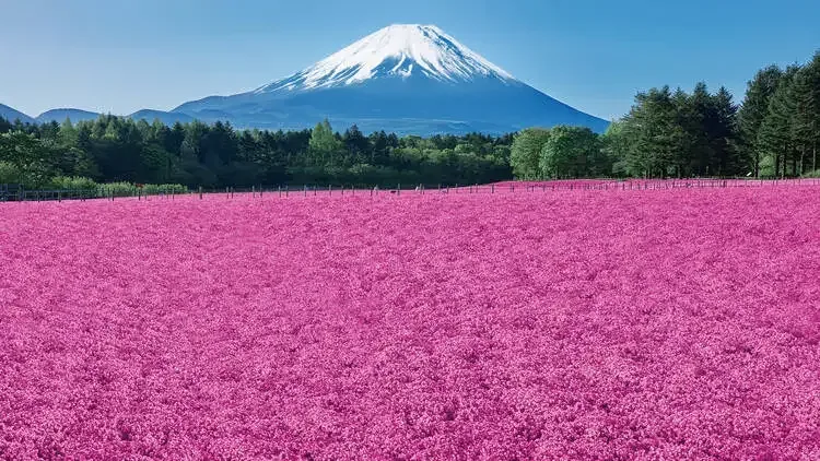 Japan