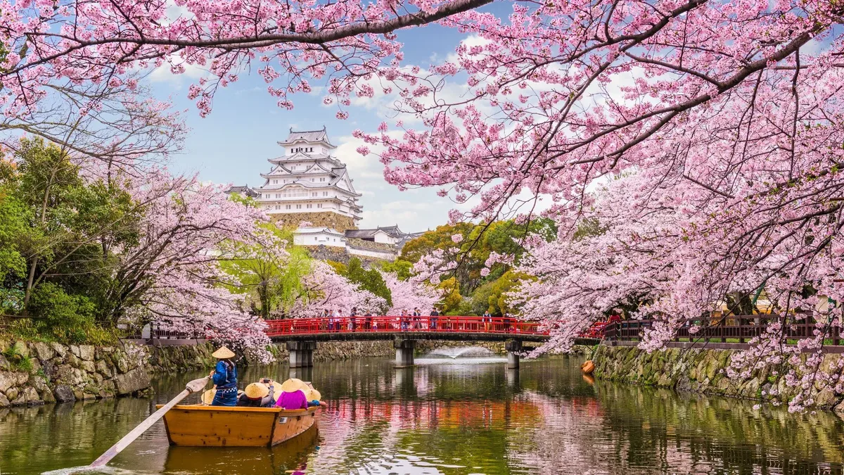 Travel Tips & Cultural Etiquette