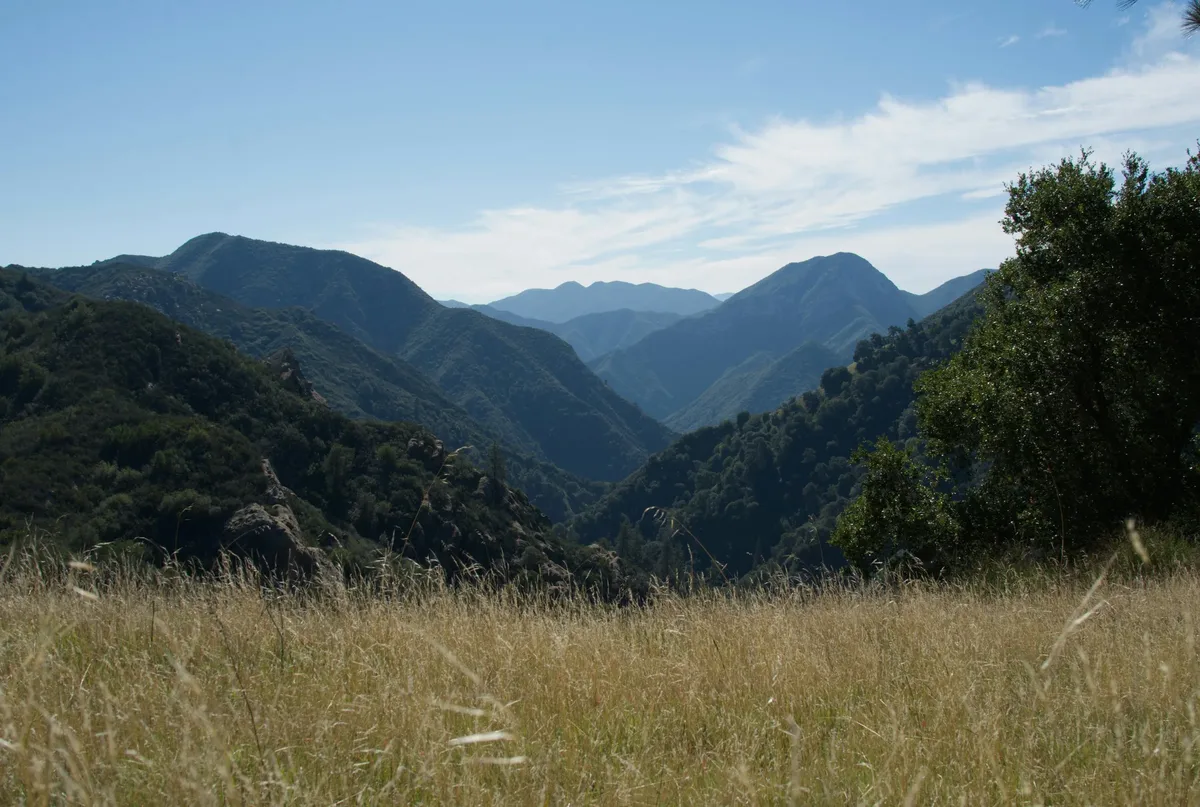 3. Silent Valley National Park