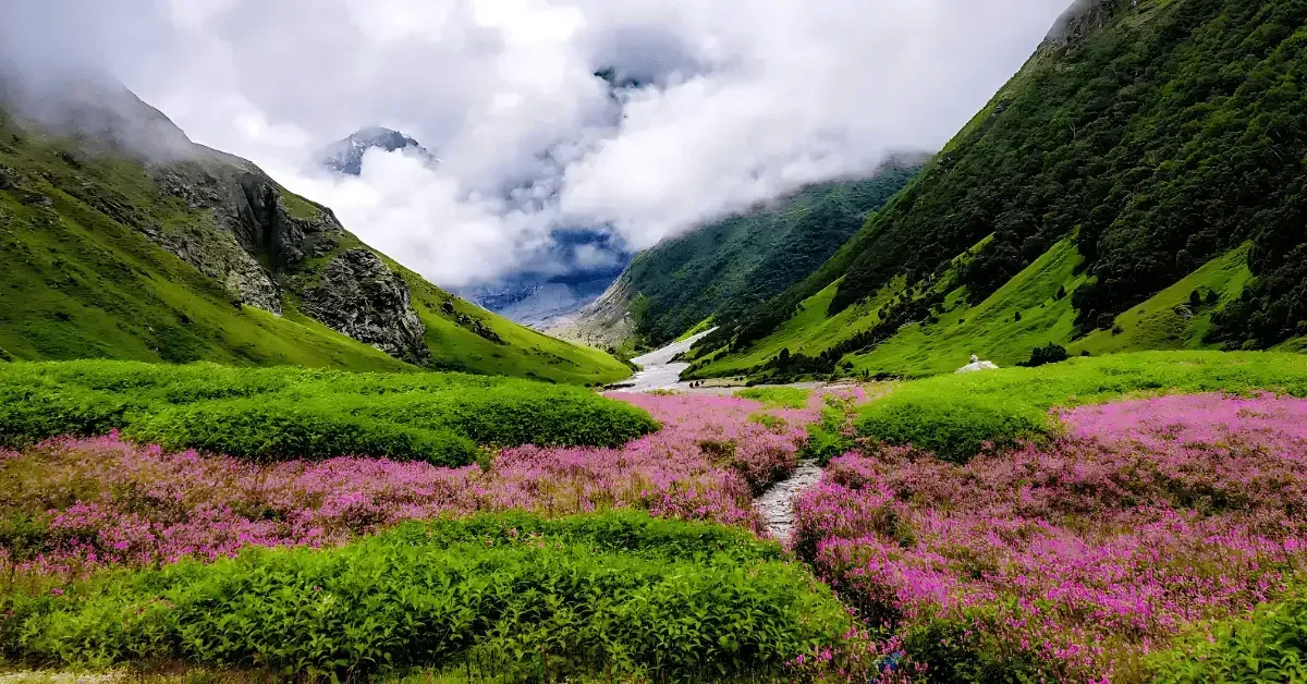 Valley of Flowers and Hemkund Sahib