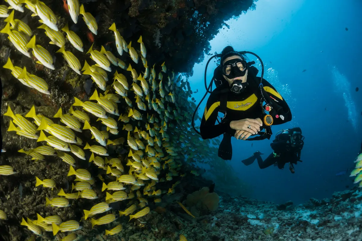 2. Tubbataha Reef, Philippines