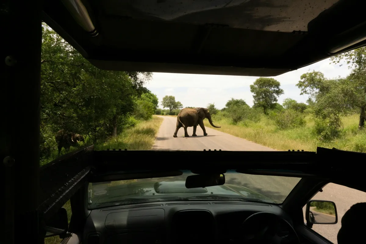 South Africa – Kruger National Park