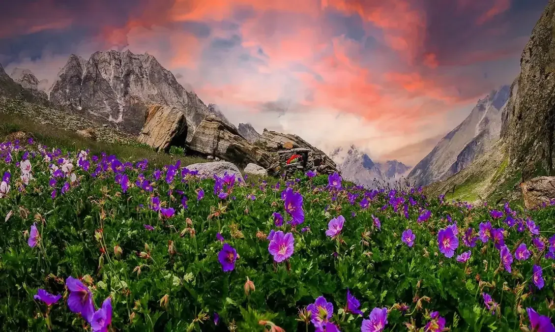 Best Places to Visit in India in July 2027