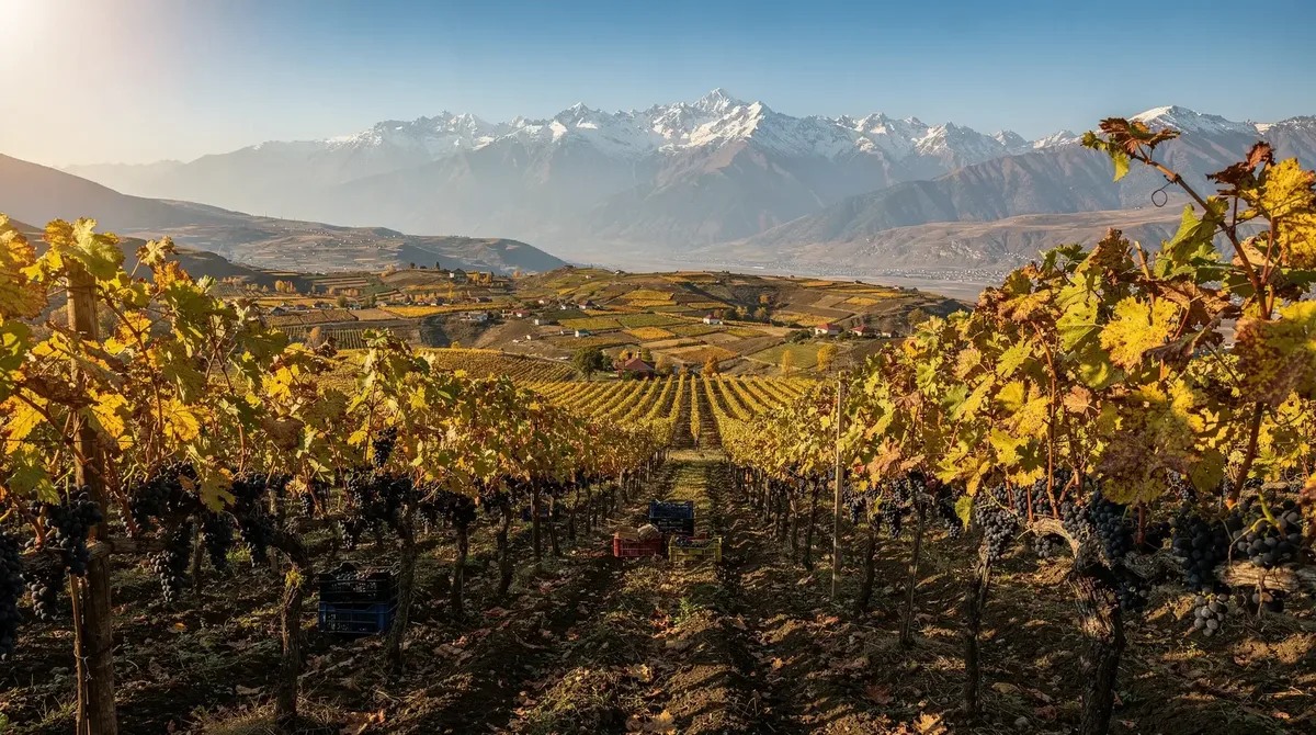 Kakheti - Georgia's Wine Country