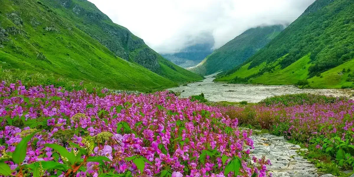 Valley of Flowers Trek in July