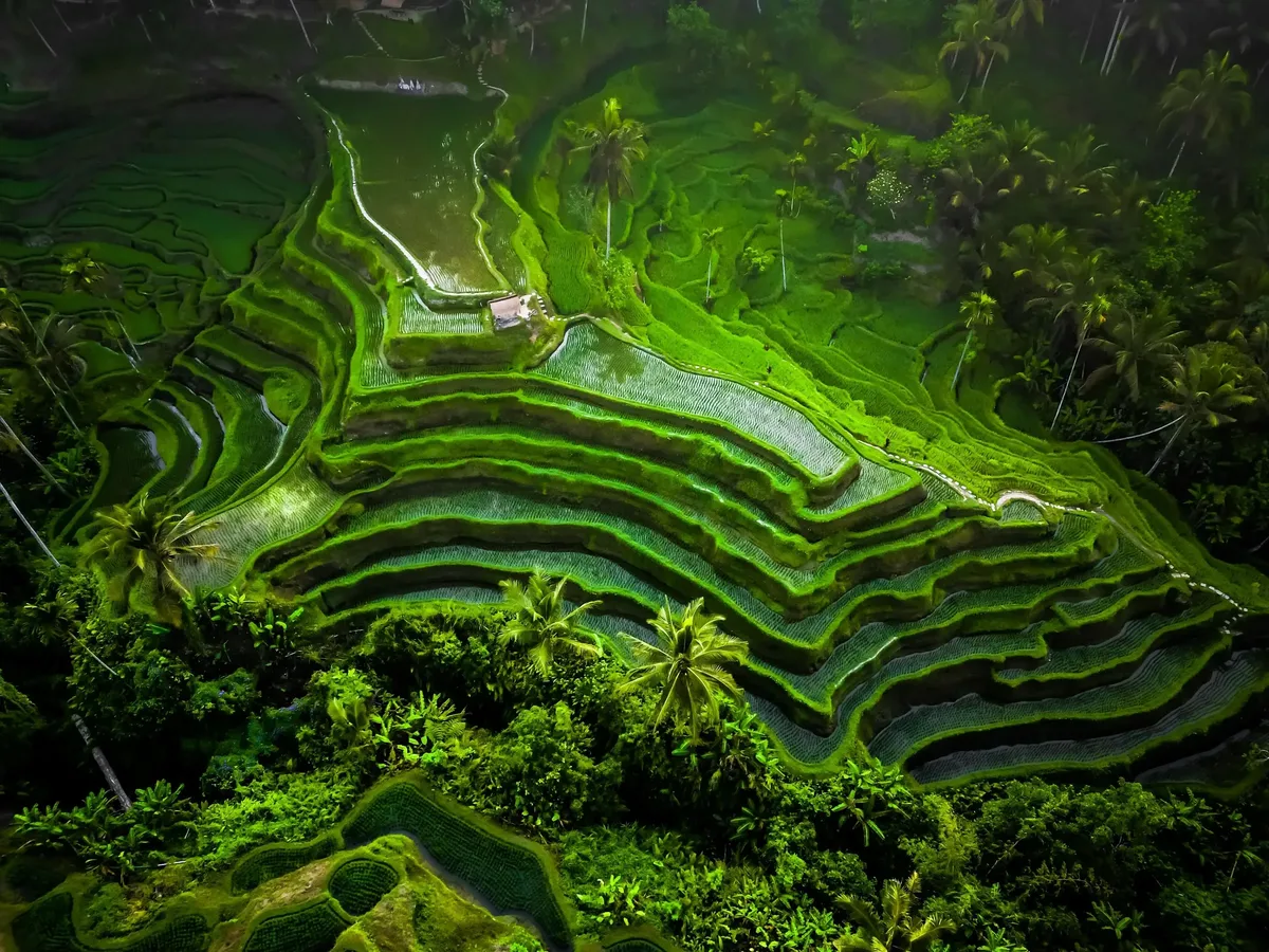 Bali in July: Driest and Clearest