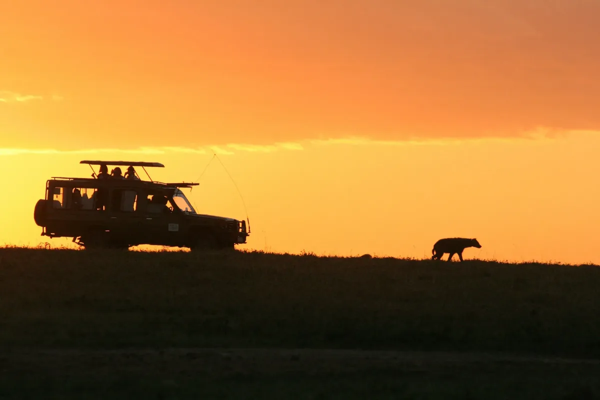 7. Spot The ‘Big Five’