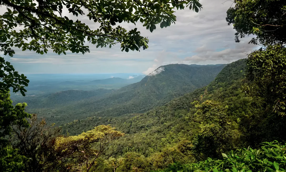 3. Agumbe – Karnataka’s Own Rainforest Retreat