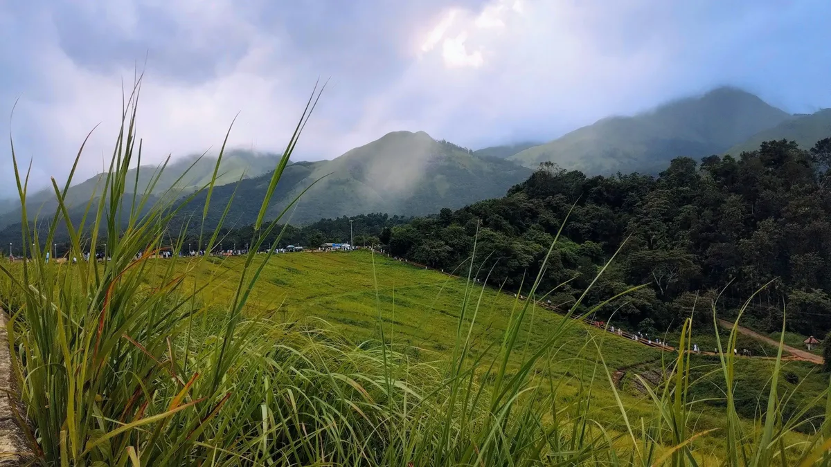 Wayanad Travel Guide: Treks, Wildlife and Waterfalls