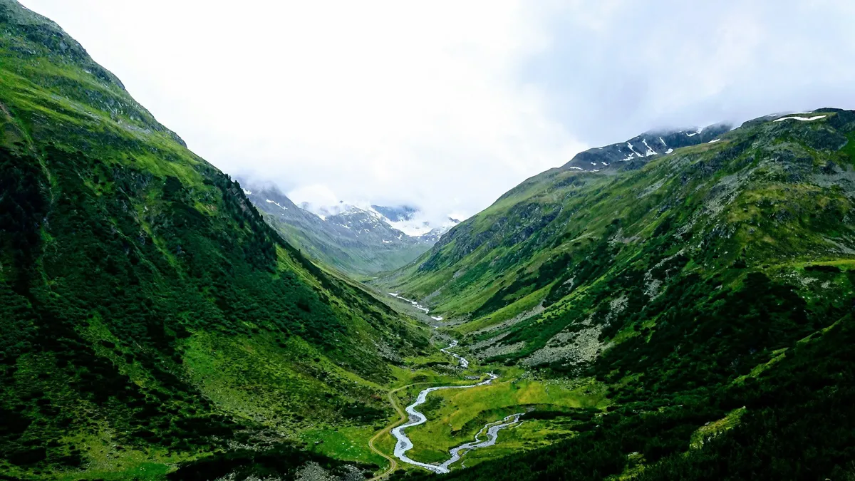 2. Ziro Valley