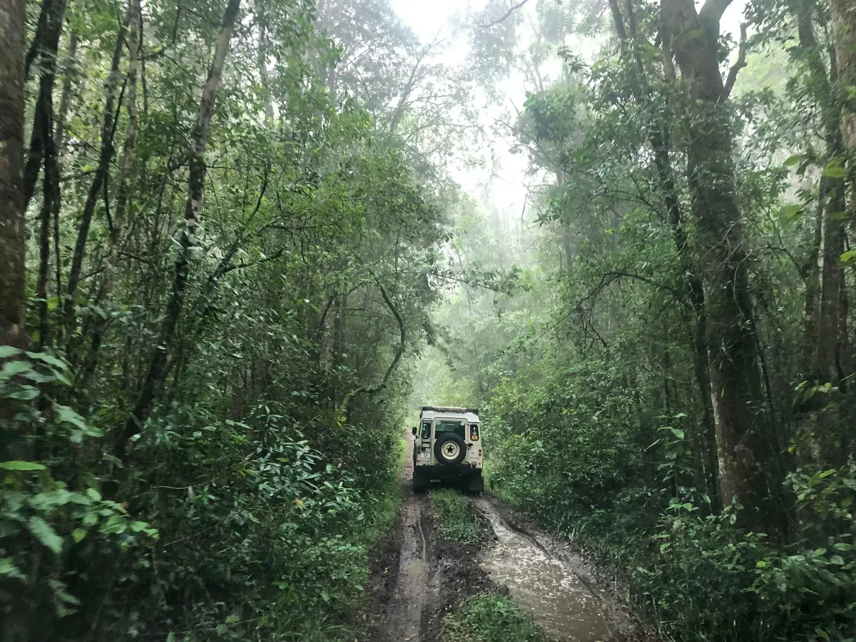 Kenya – Maasai Mara