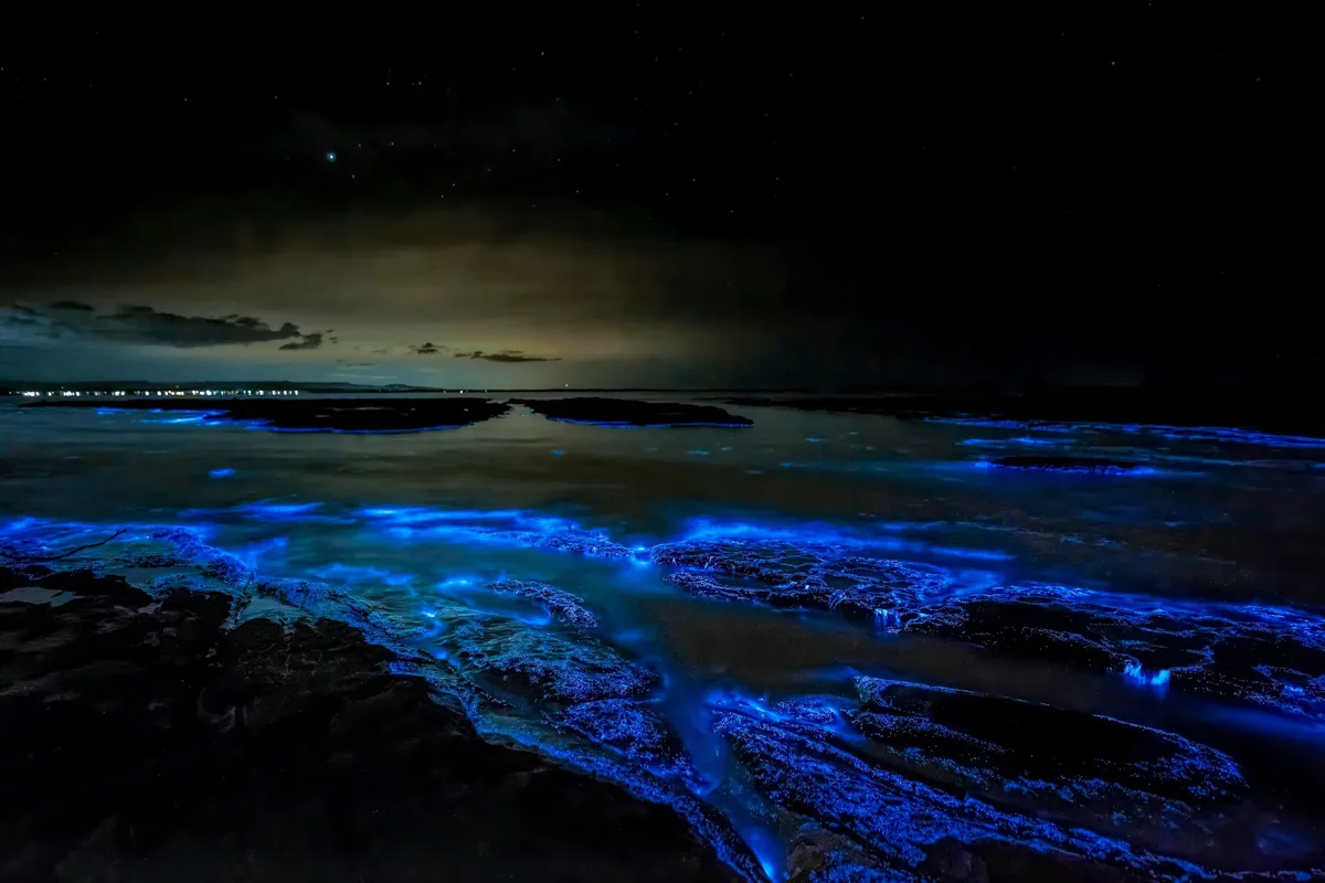 This Beach in Kerala Glows in the Dark