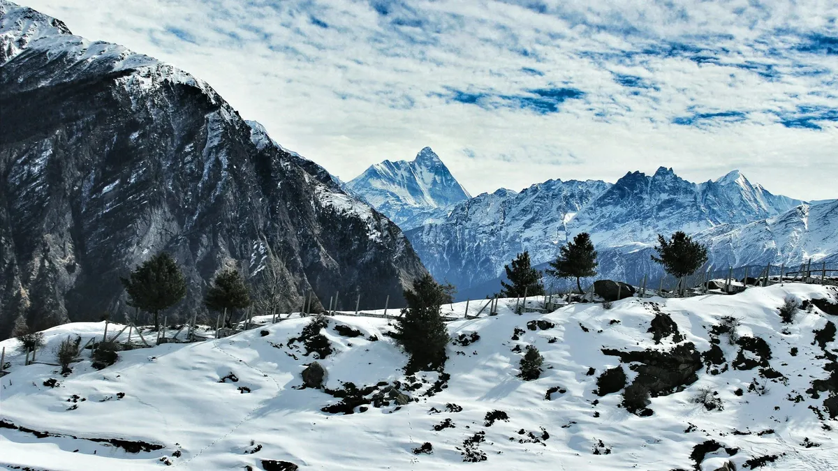 Auli in Summer: Meadows, Views and Things to Do
