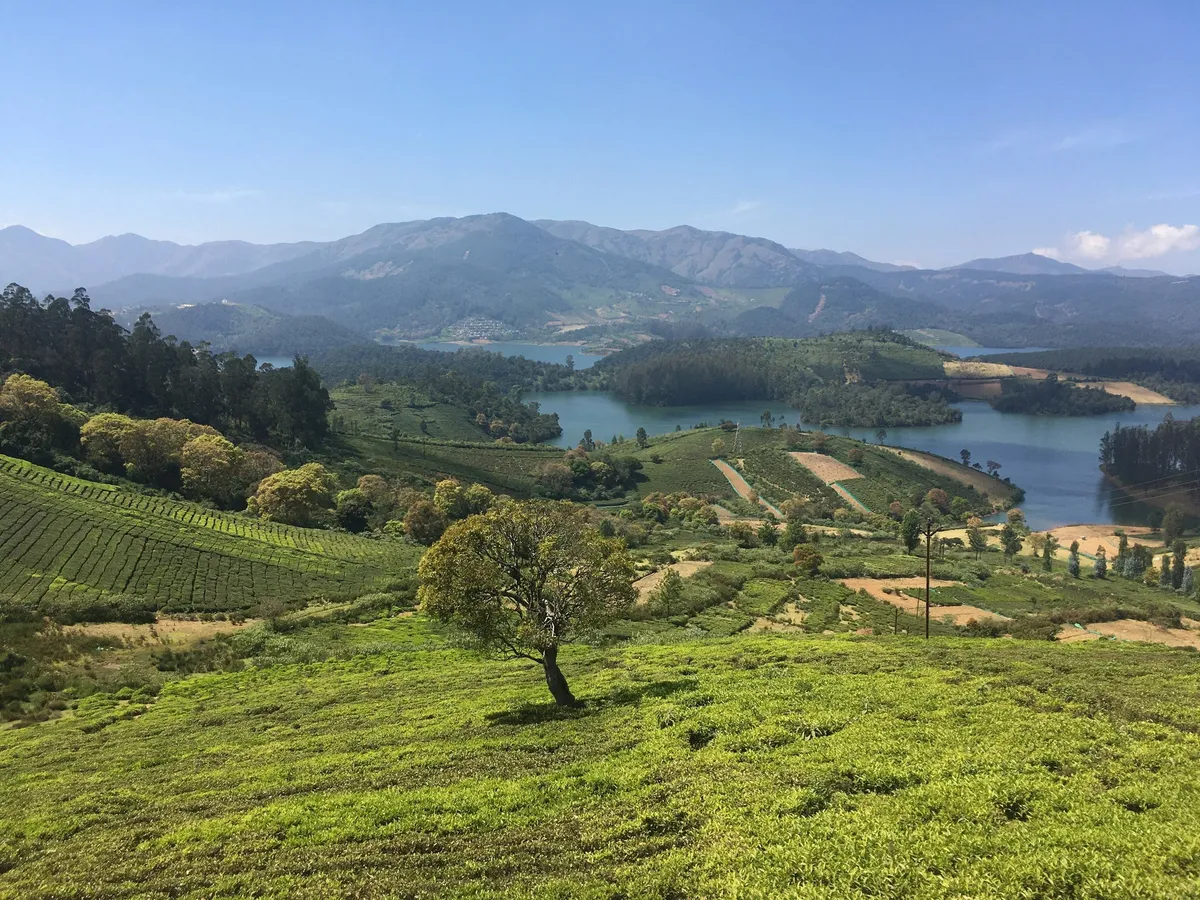 Ooty Tourist Places: Must-See Spots for Your Hill Station Trip