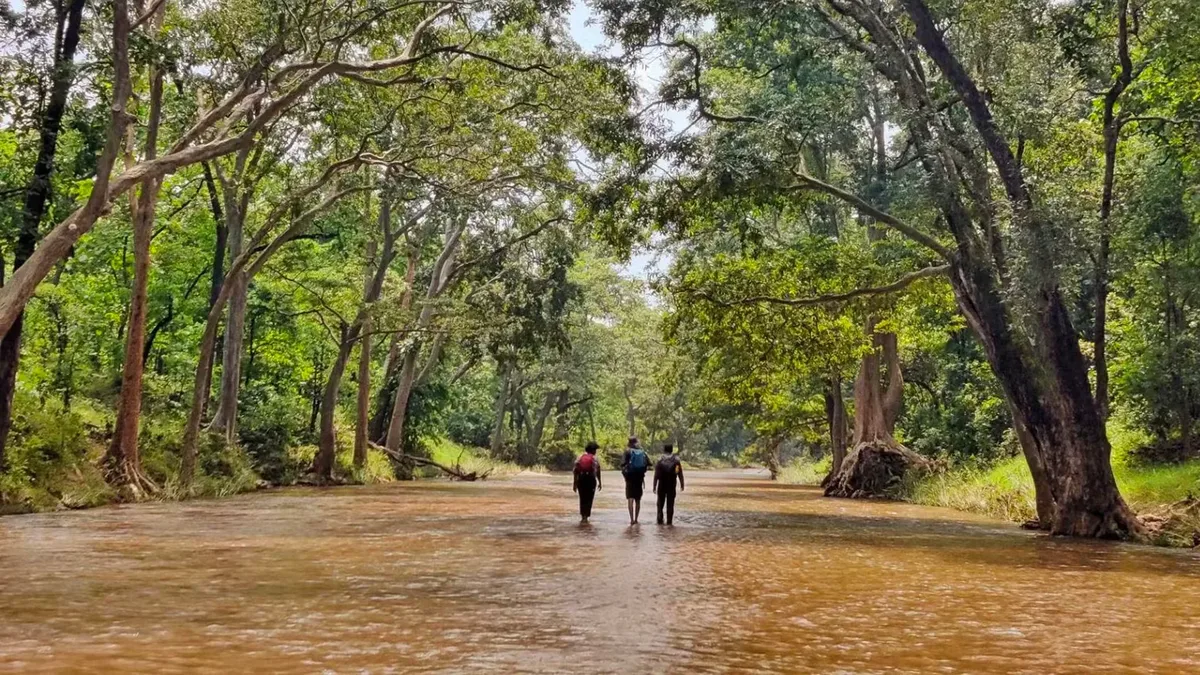 Pench Tiger Trail