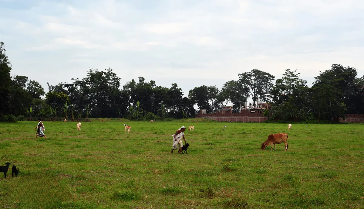What’s Famous In Majuli