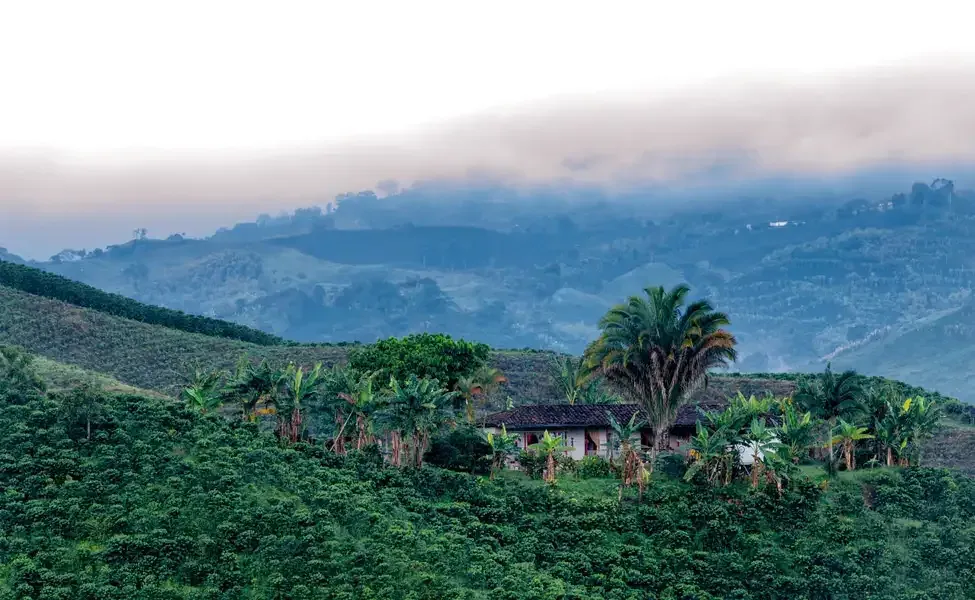 5. Tired of Ooty? Go to Coorg (Kodagu), Karnataka