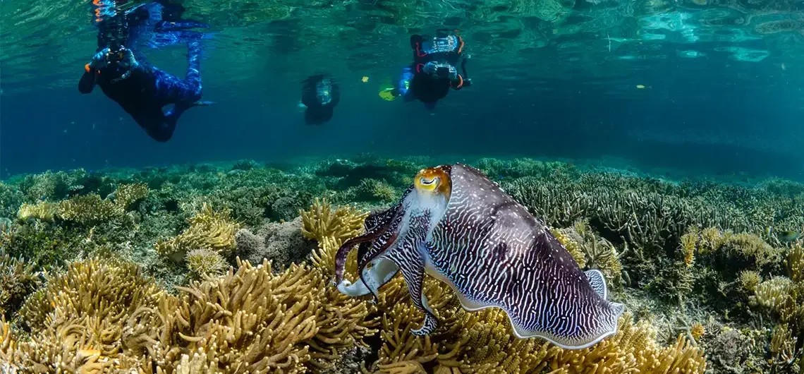 Maldives in July: Luxury at the Right Price