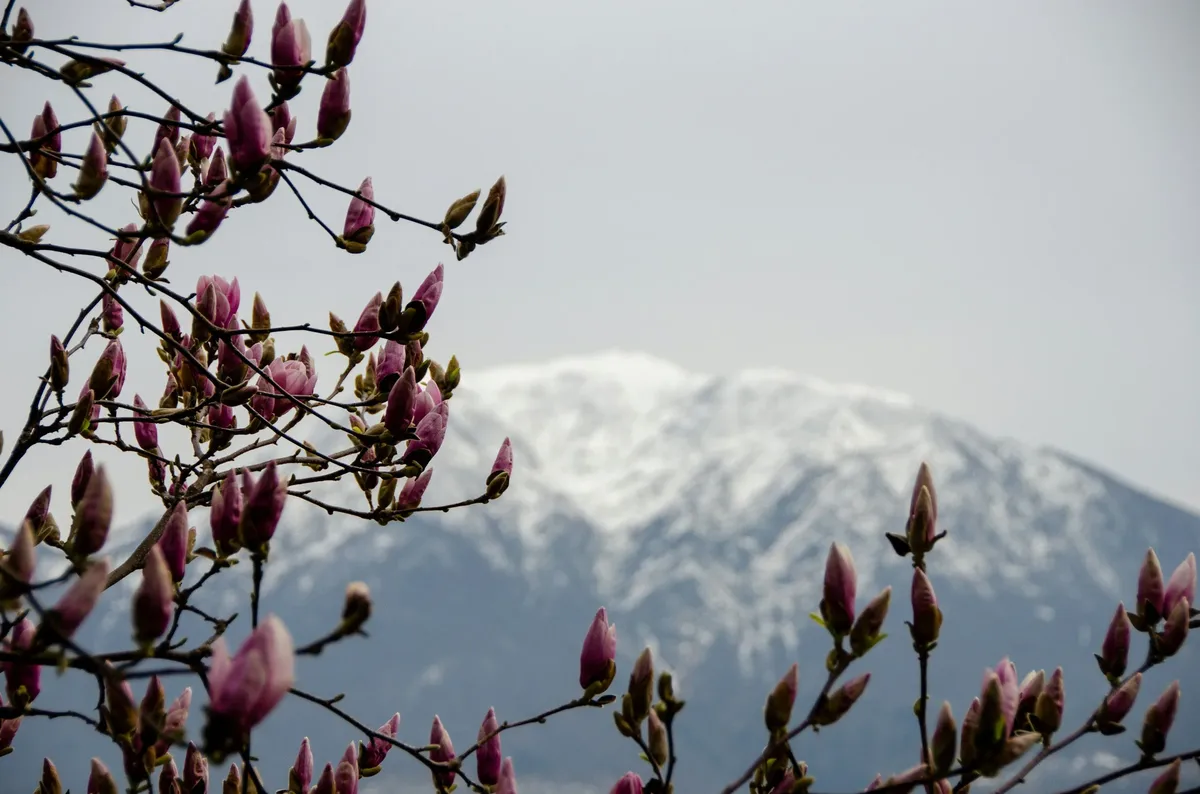 6 Best Places to Visit in India in April