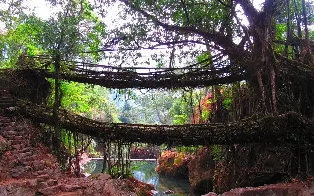 5. Meghalaya