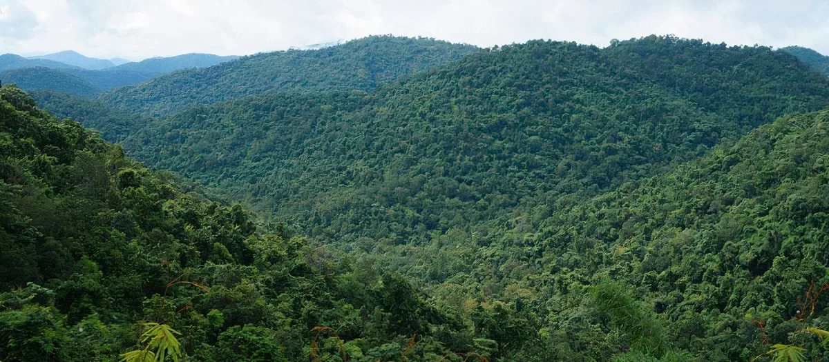 2. Daringbadi – Chilling In Odisha’s Own Hill Station