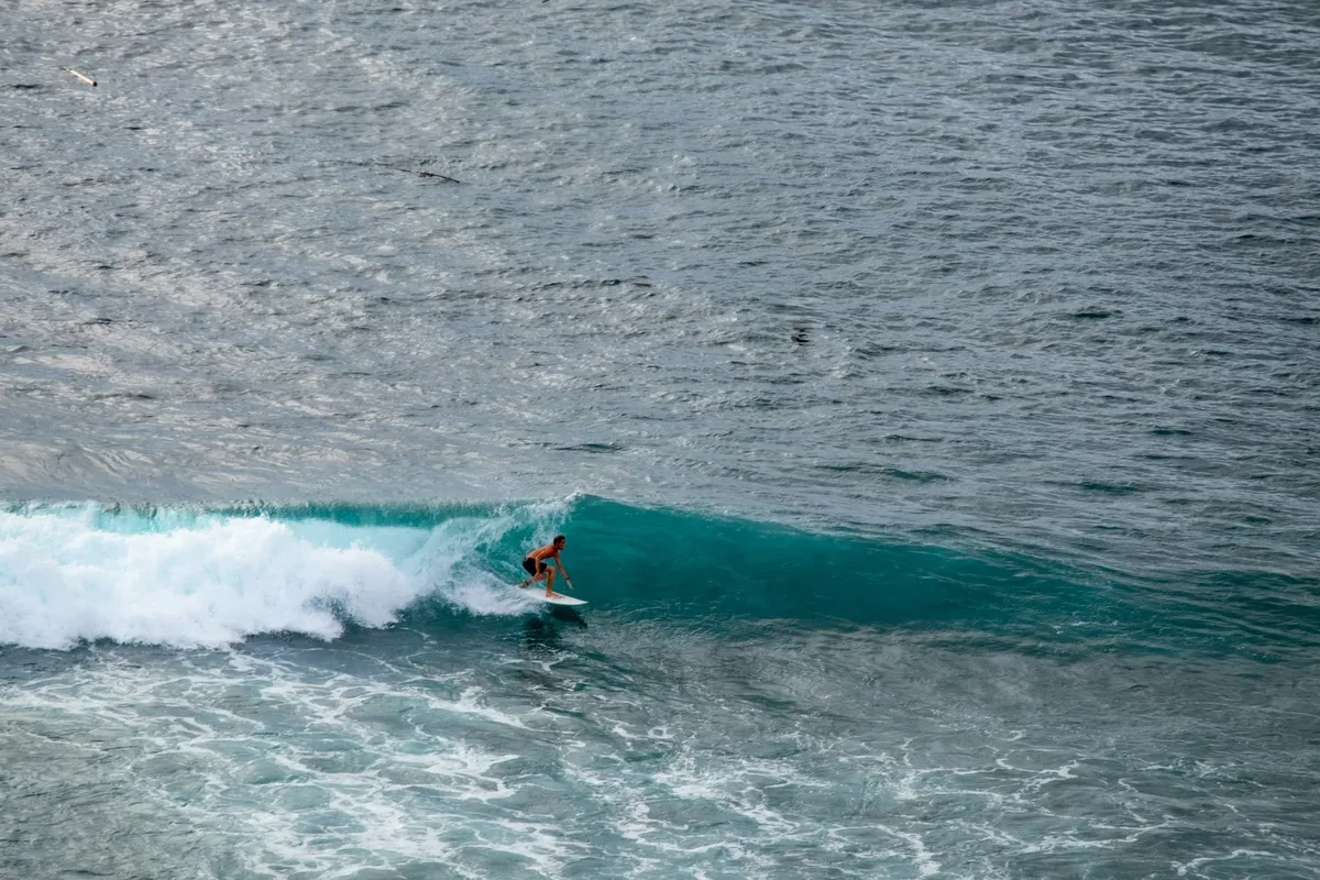 Best Things to Do in Bali
