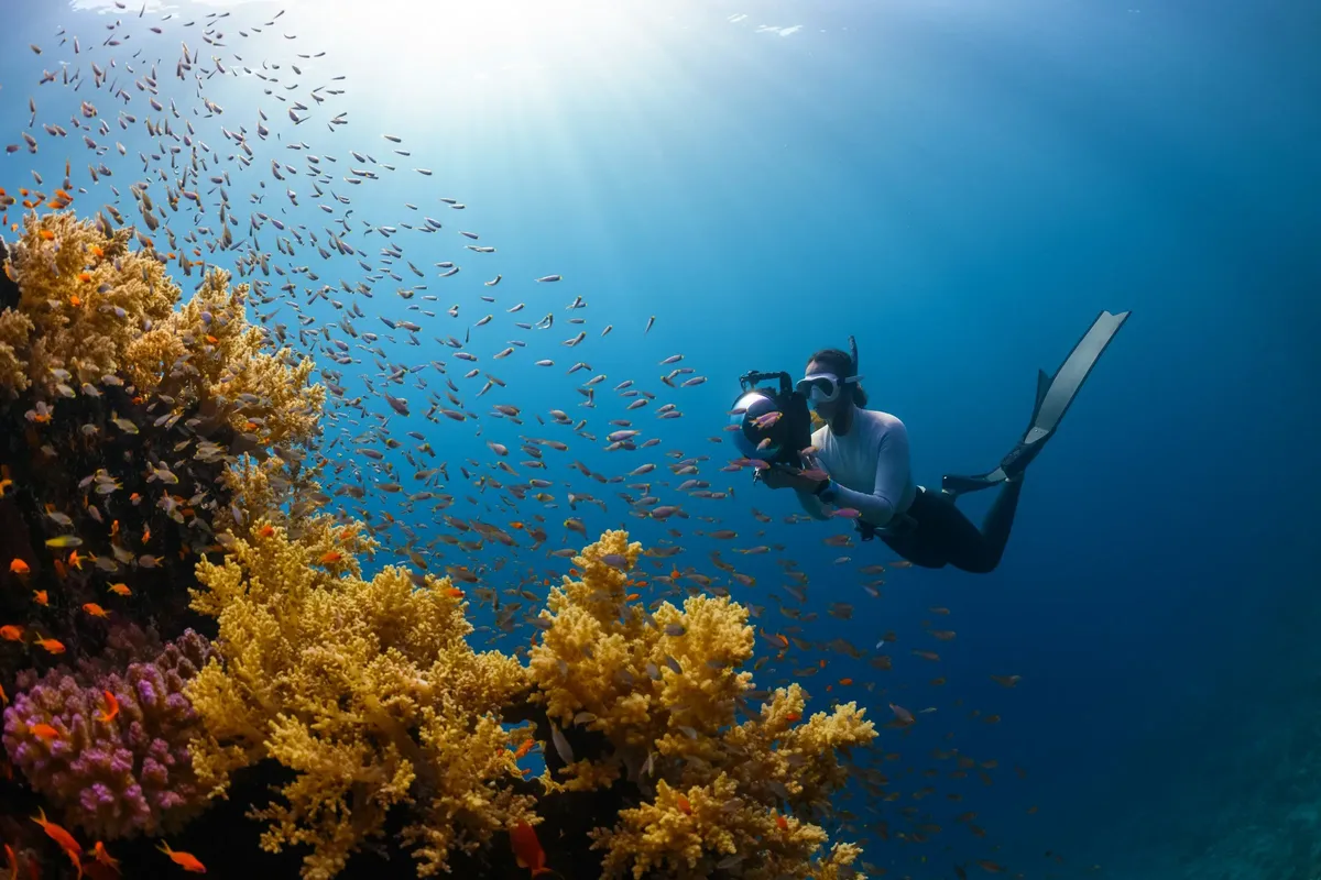 6 Best Places to Go Scuba Diving
