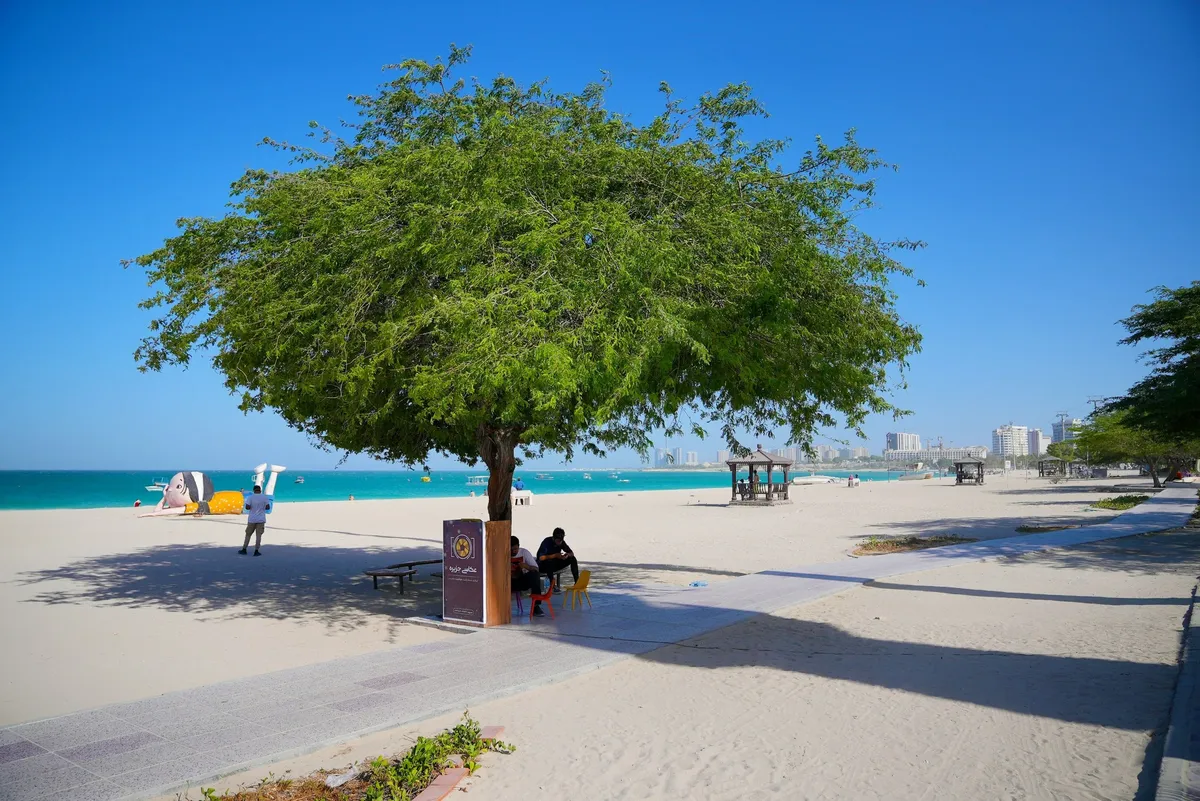 2. Sharjah: Kalba Beach