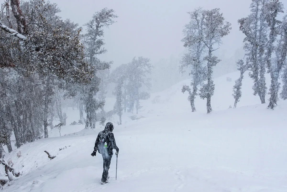 Brahmatal Trek, Uttarakhand