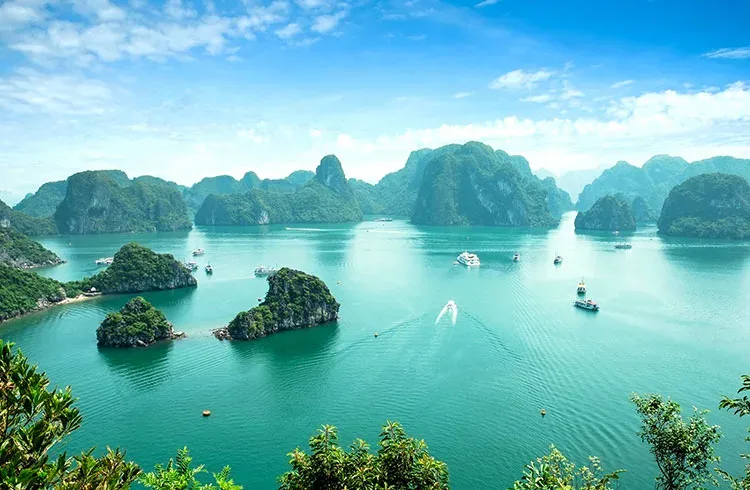 Green limestone islands scattered across the water of Ha Long Bay