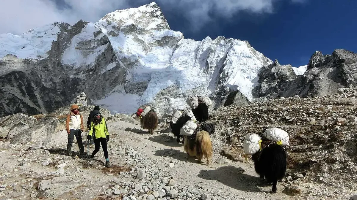Trekkers and yaks on a rocky trail below Everest region peaks
