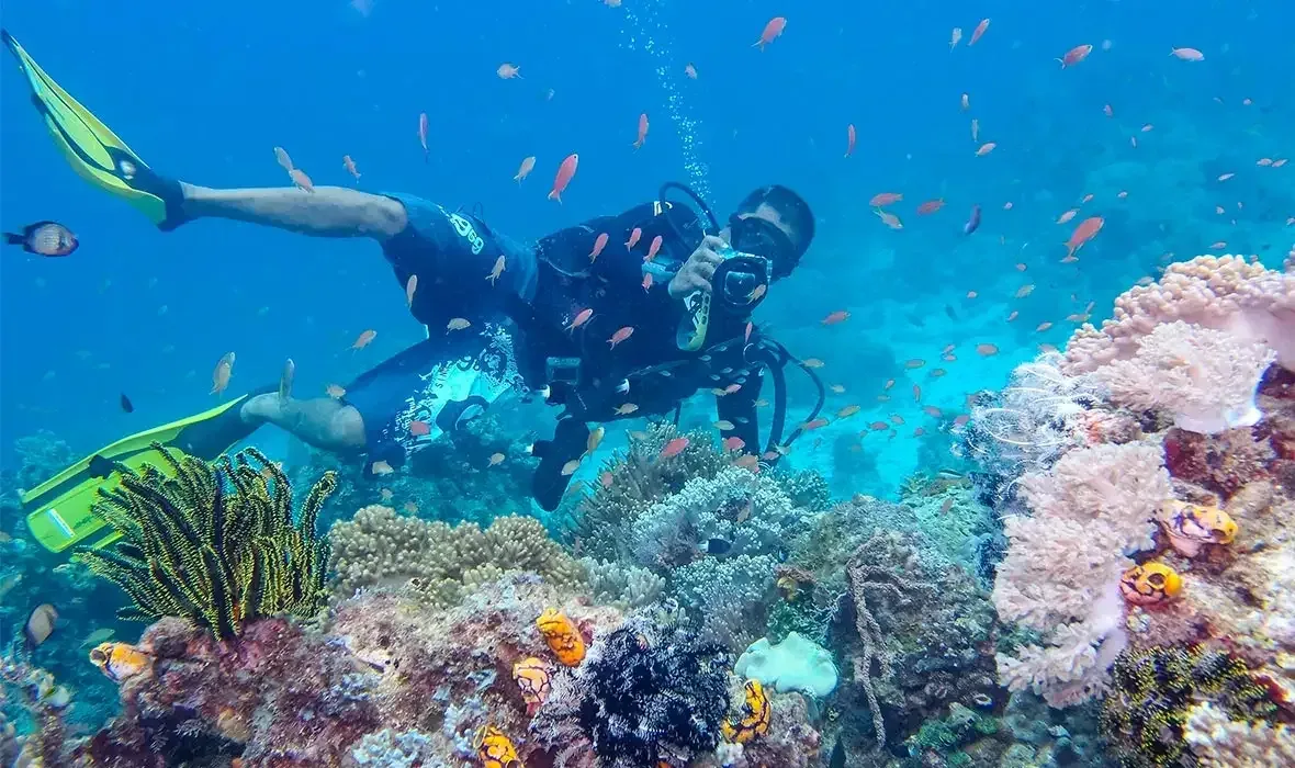 A diver over a coral reef off Sabah