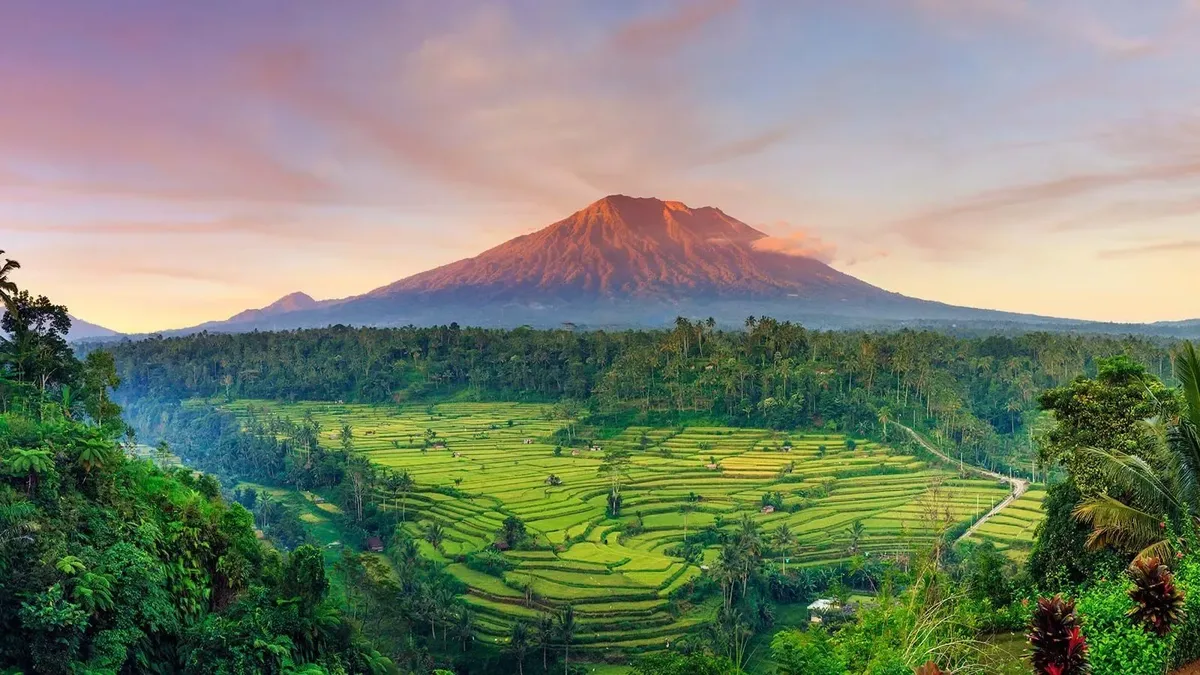 Bali rice terraces and coastline