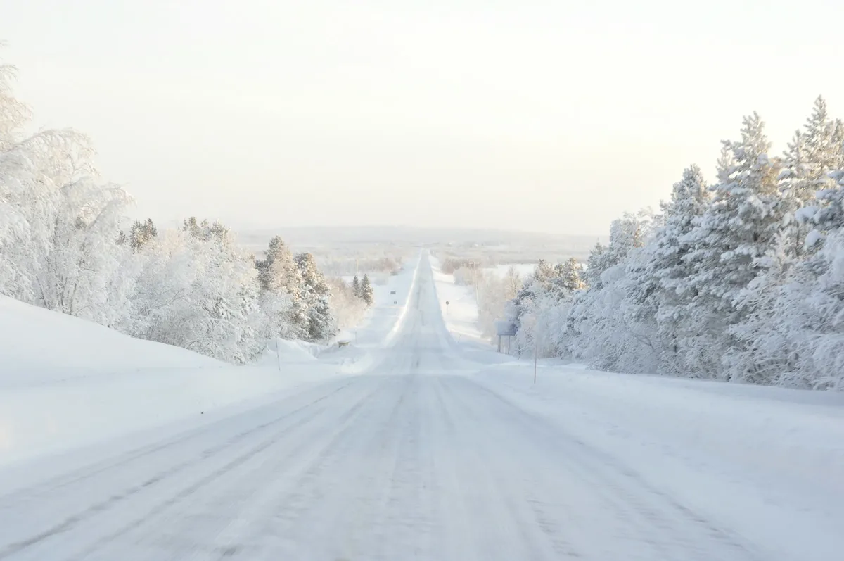 A snowy road through a frozen forest in Finnish Lapland
